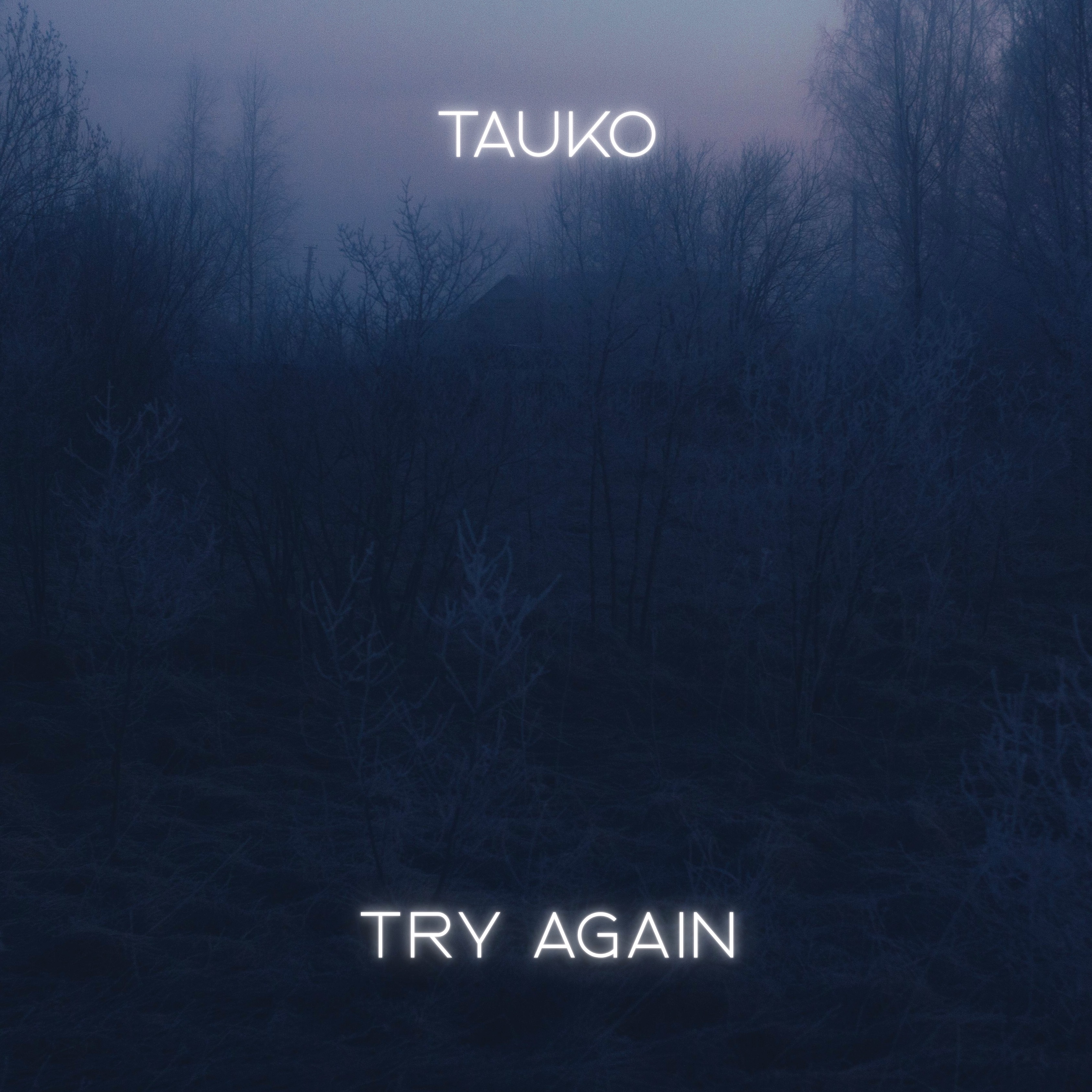 Cover art for Try Again